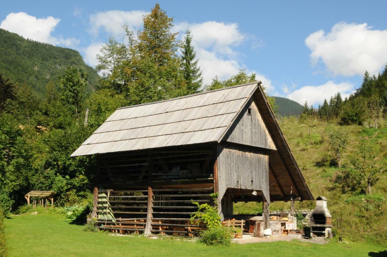 Apartmaji Rabic Bohinj Dış mekan fotoğraf